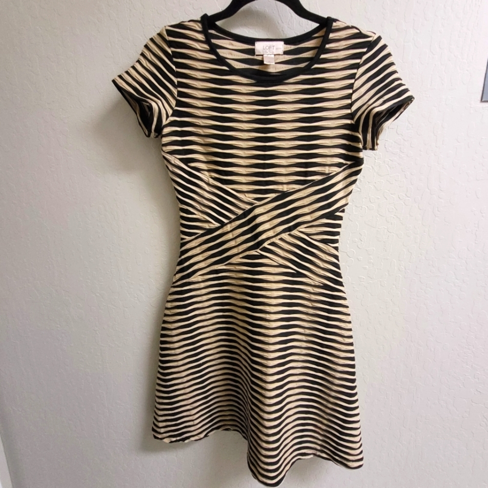Loft petite fit and flare dress